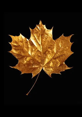 Gold 044