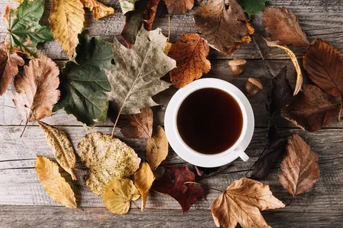 Cafe_58